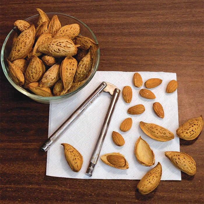 Bounty Ukrainian Almonds Bounty Ukrainian Almonds -Jung Seed Company 22455