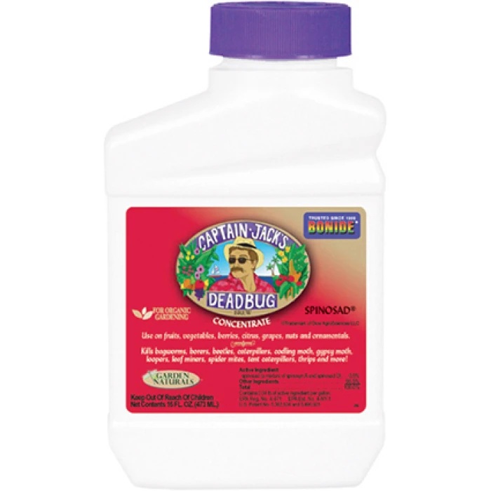Bonide® Captain Jacks Deadbug Brew® Quart Bonide® Captain Jacks Deadbug Brew® Quart -Jung Seed Company 50051