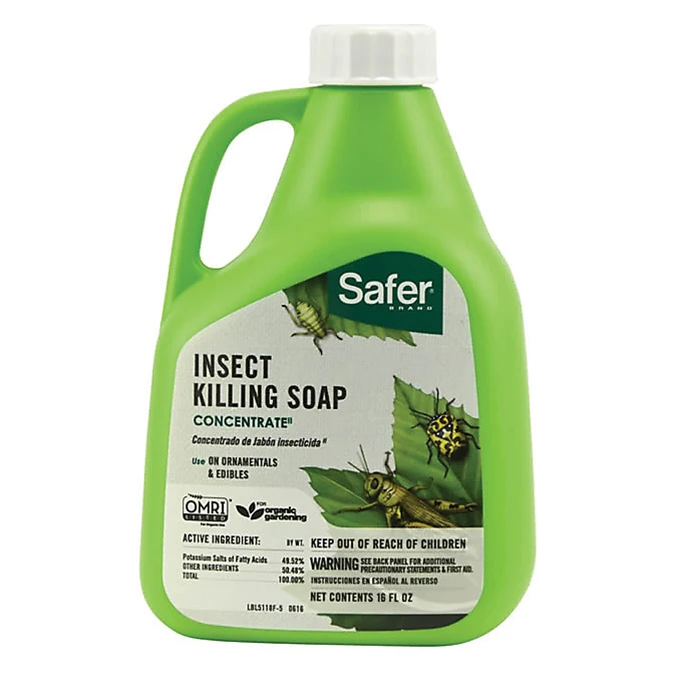 Safer® Insect Killing Soap Safer® Insect Killing Soap -Jung Seed Company 50424a