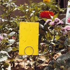 Stiky&trade; Strip Insect Traps