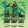 Jiffy-7&reg; Plant Starters