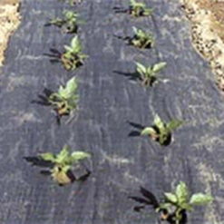 The Original Planters Paper&reg; (24" X 50')