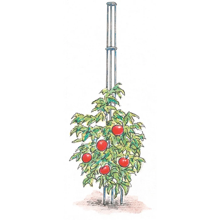 Tomato Tower Tomato Tower -Jung Seed Company 53375