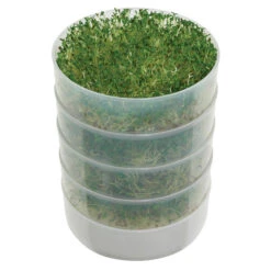 Kitchen Crop Sprouter