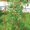 Jung Jumbo Red Tomato Cages