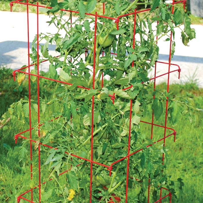 Jung Jumbo Red Tomato Cages Jung Jumbo Red Tomato Cages -Jung Seed Company 54277