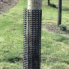 Tree Bark Protector