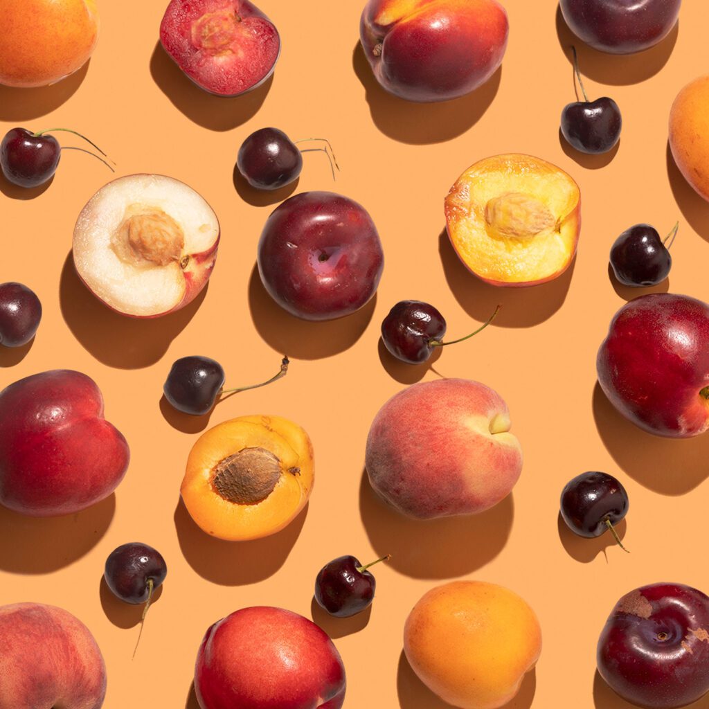 Jung Seed Company -Jung Seed Company Stone fruit 1024x1024 1